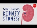 What causes kidney stones? - Arash Shadman