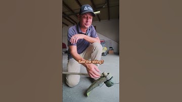 String Trimmer vs. Edger