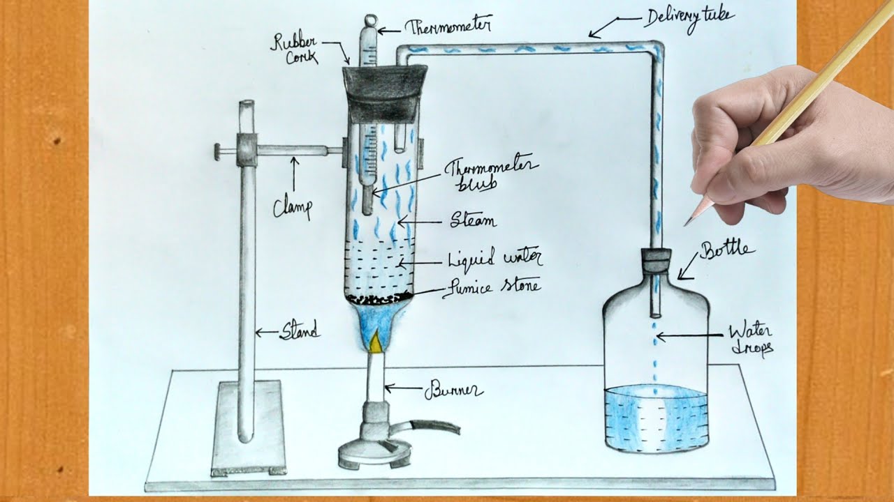 A pot of boiling water — Science Learning Hub