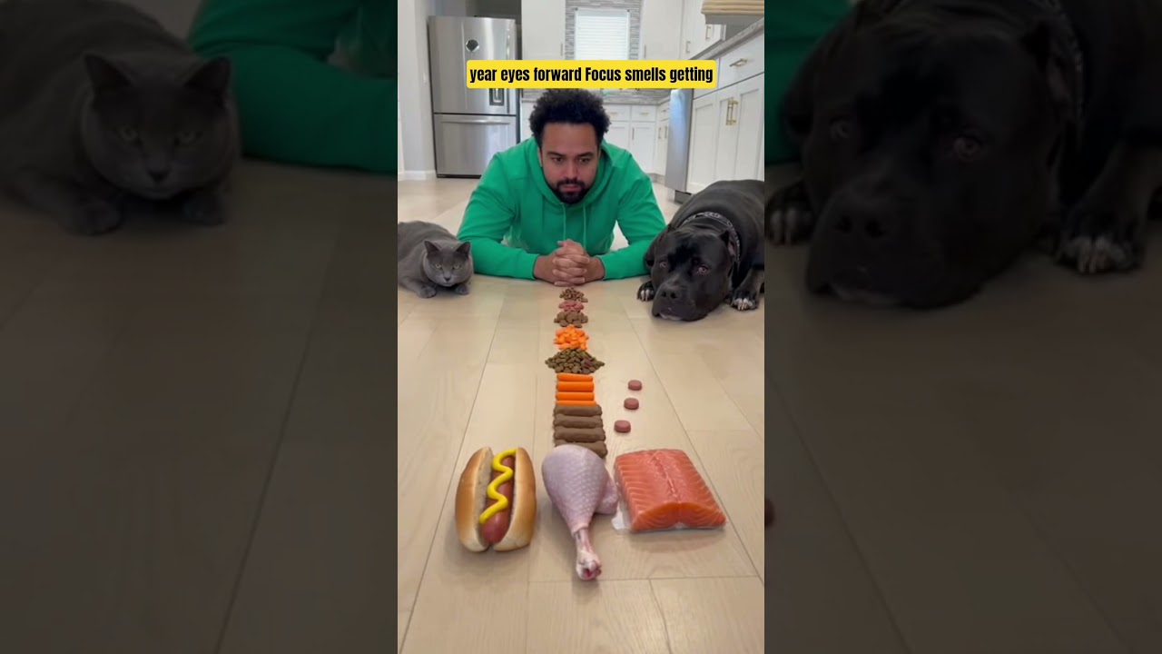 Food Eating Challenge 😋 who win the game 