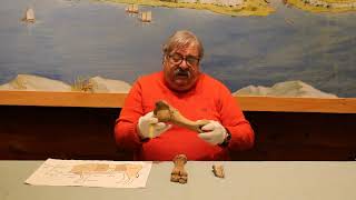 Mount Independence Revolutionary War Artifacts:  Foodways--Rations and Beef
