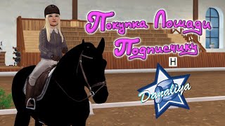 Покупка Лошади Подписчику. |Star Stable Online|