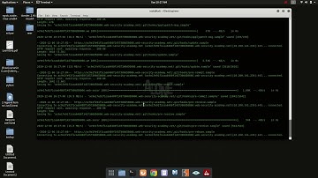 Information disclosure in version control history