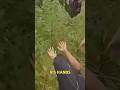 Cop Gets 5 Years in Prison #shorts