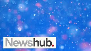 World first results link microplastics to increased risk of heart attacks, death | Newshub