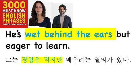 671. He’s wet behind the ears but eager... (그는 경험은 적지만 배우려는 열의가 있다.)