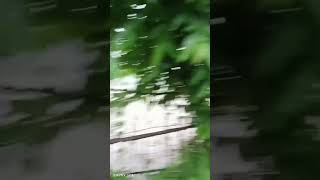 Koshi Nadi Me Bad Ka Kahar Chukm Gauv Me