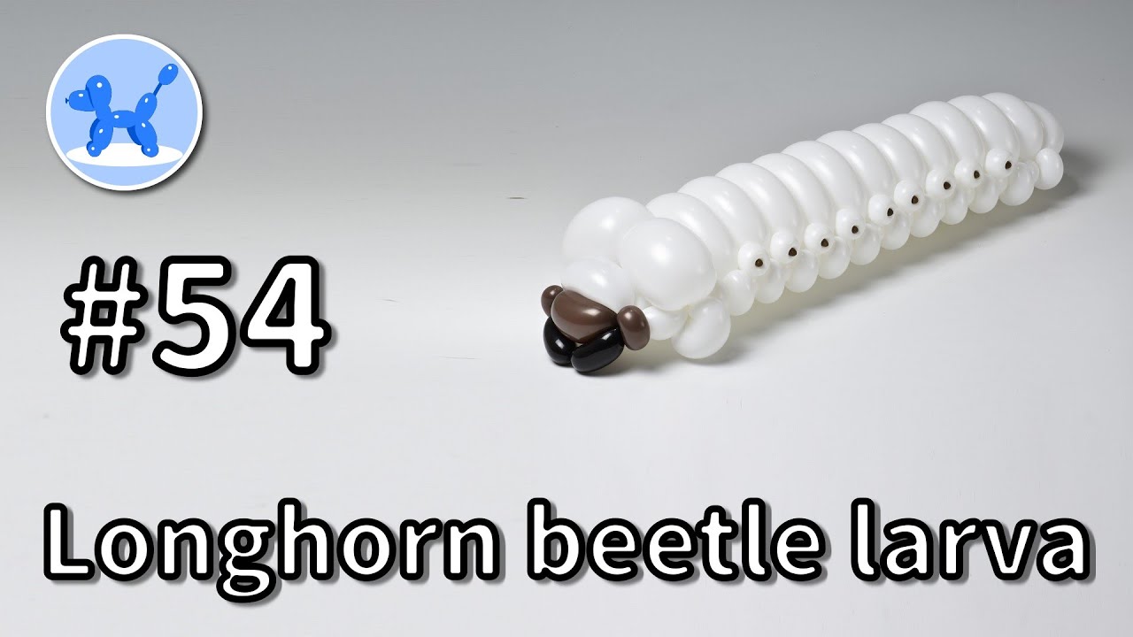 Longhorn beetle larva - Members-Only Tutorial Video #54 - YouTube