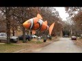 Flying Clown Fish Escapes