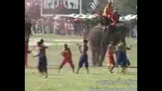 Thainess, Surin, Thailand