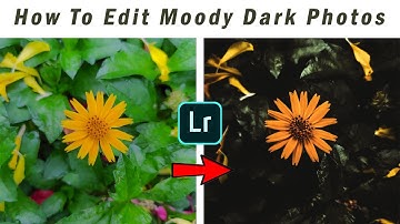 How to edit MOODY DARK Tone | Flower Edit | Lightroom Mobile Editing Tutorial