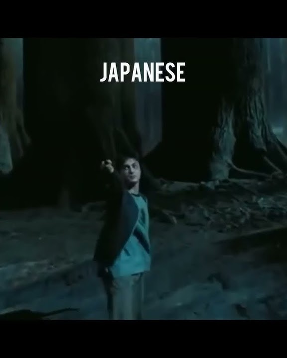 When Harry  Potter  says any magical  word in different  languages