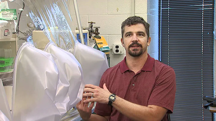 EPSCoR bioenergy focus: Bradley Stevenson, OU