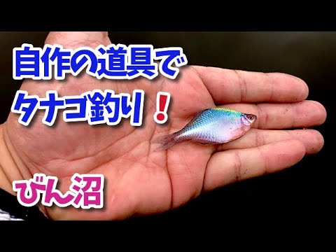 自作の道具でタナゴ釣り。小物釣り。 TANAGO Micro Fishing - YouTube