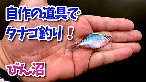 手作りたなご釣り道具 これ買ったら一生大事に使いそう Mp3