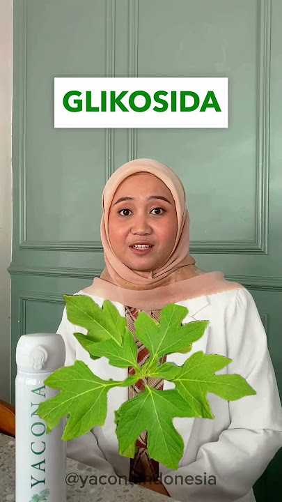 Daun Yakon VS Daun Kipahit