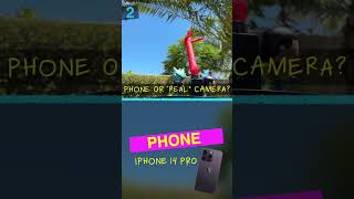 Phones vs. &quot;Real&quot; Cameras