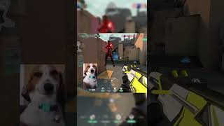 Bind tips by bronze omen #shorts  #valorant #valorantclutchmoments #valorantclips #valoranttips