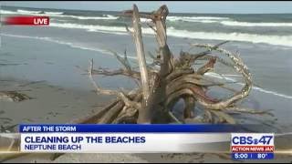 Cleaning up the beaches after Hurricane Matthew