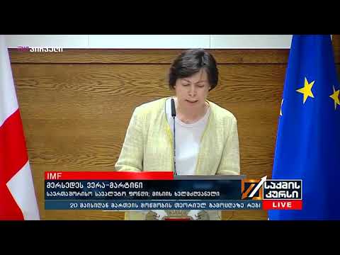 საქმის კურსი (13.05.2019)