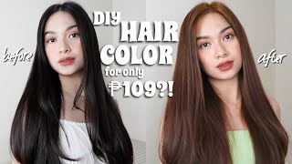 i colored my hair Using Loreal Feria B61 Cool Brown + TIPID&EASY NO BLEACH (Philippines) 2021