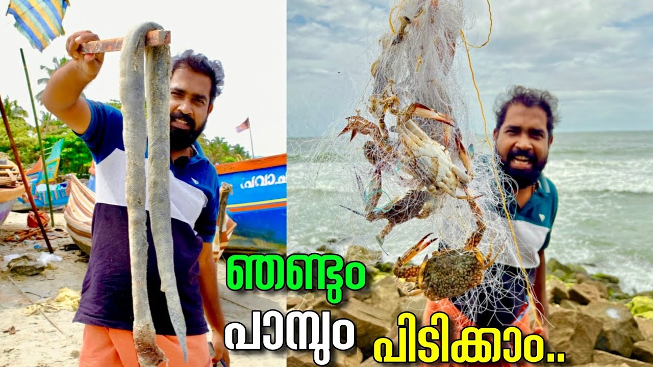 Rotating Catch Methods ഞണ്ട് പിടിക്കാൻ എളുപ്പവഴി.. / Crab Catching New Method - YouTube