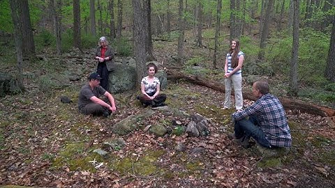 Pay Attention: How "forest bathing" clears the mind and body