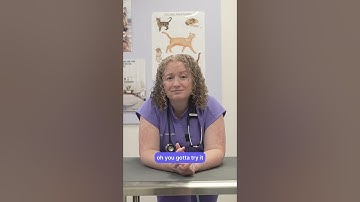 Are you a vet who spends too much time documenting client calls? Watch this!