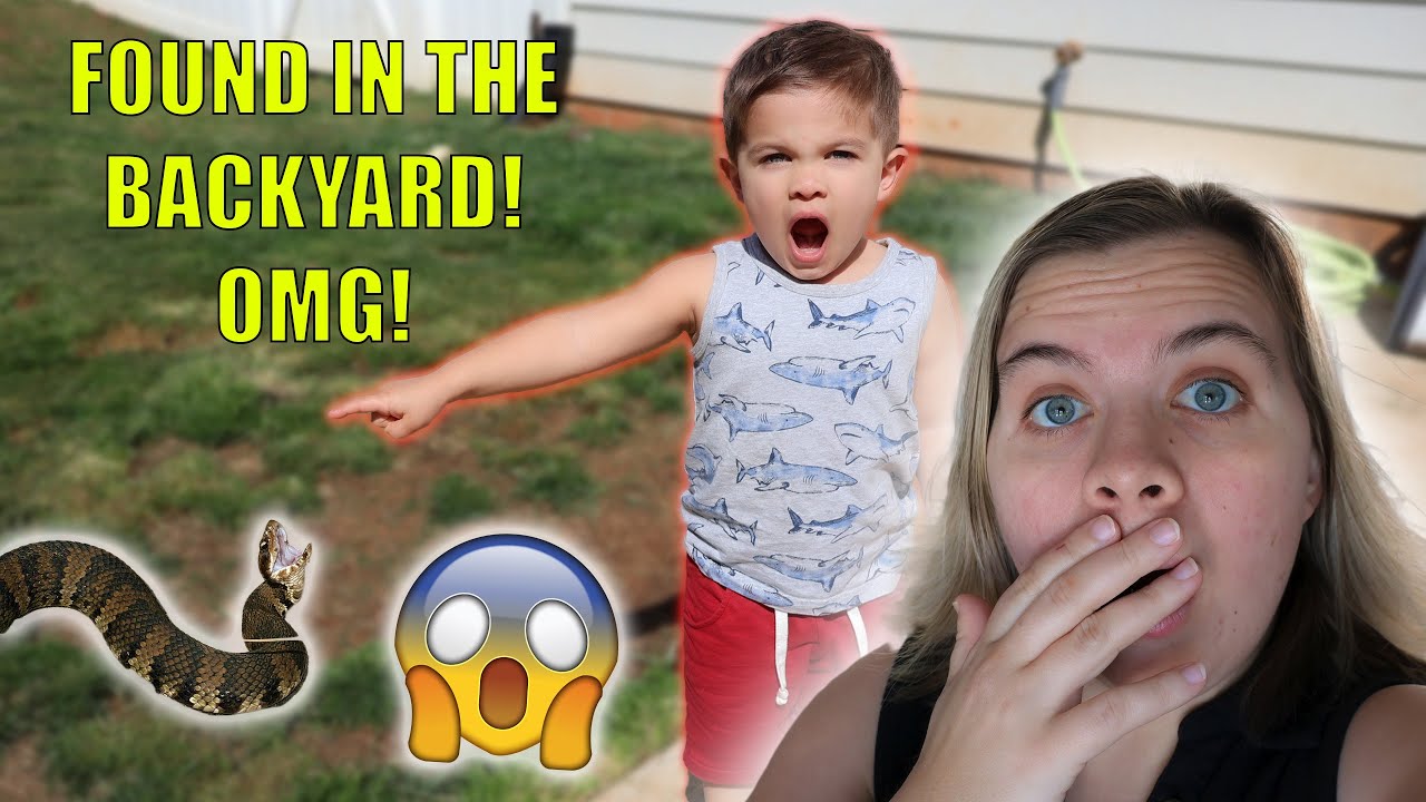 WE FOUND THIS IN OUR BACKYARD! *first time ever* YouTube