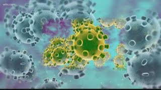 What you need to know about the coronavirus