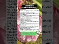 200円断ったらケチ扱いされたんだけど#レジトラブル #日常の違和感 #それ普通なの #距離感ミス #お金の線引き #図々しい人 #断る勇気 #価値観ズレ