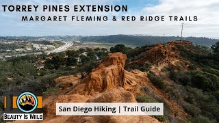 Torrey Pines Reserve Extension Trails: Scenic Coastal Hike in San Diego