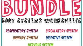 Worksheets about the Body Systems