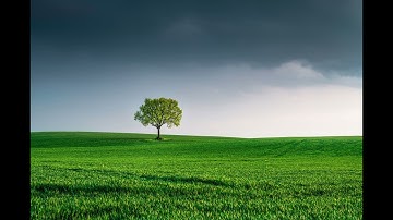 سورة المؤمنون - الشيخ صلاح ابو خاطر  - Surat Al-Mu'minun Salah Bou Khater