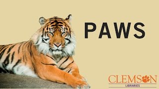 PAWS: Evaluating Sources