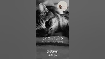 سورة الرعد ❤️🎧