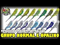 MUTAÇÕES DO PERIQUITO AUSTRALIANO - GRUPO NORMAL E OPALINO #PARTE 1