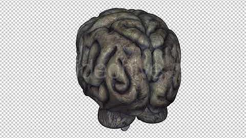 Brain - Rotten | Motion Graphics - Envato elements