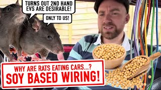 How to stop RATS eating your EV. What…?!