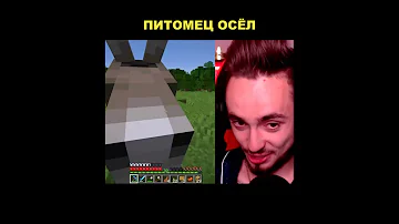 📱 ПРИРУЧИЛ ОСЛА 🐐 В МАЙНКРАФТ 😎 ПИТОМЕЦ ЭДИСОНА #shorts
