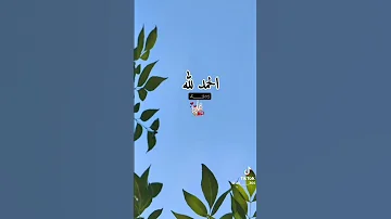 احنا احسن من غيرنا 