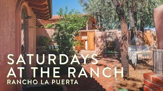 Rancho La Puerta  Live Love Spa