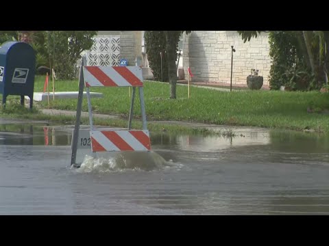 Eta Left Flood Of Trouble, Stinky Mess In Parts Of Hollywood