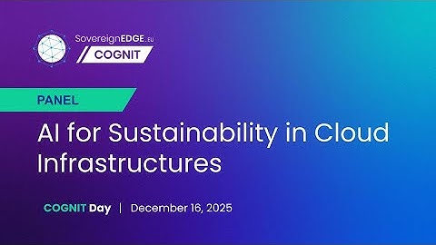 PANEL: AI for Sustainability in Cloud Infrastructures