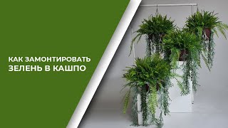 видео: Как замонтировать зелень и цветы в кашпо | Секреты, Лайфхаки, инструмент, материалы картинка: Как замонтировать зелень и цветы в кашпо | Секреты, Лайфхаки, инструмент, материалы