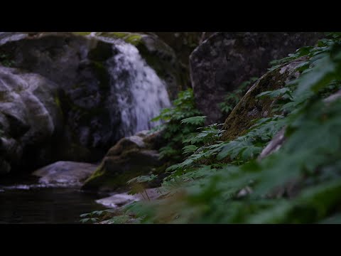 [4K] 깊은 계곡, 흐르는 물소리와 새소리에 마음이 편안해 집니다. heart of mountain valley, water and bird song sound
