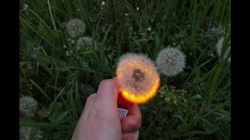 (Free) Indie Rock + Alternative Rock Type Beat ~ "Charmed" (Prod. Grayskies)