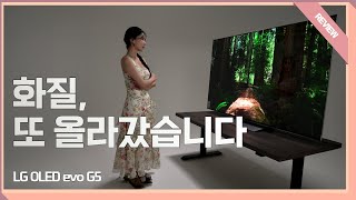 2025년형 LG OLED TV｜77G5KNA 리뷰