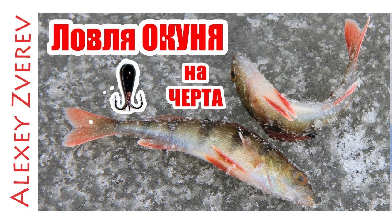 Ловля на Черта. Зимняя рыбалка. Окунь со льда. - YouTube