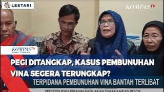 Pegi Ditangkap, Kasus Pembunuhan Vina Segera Terungkap?